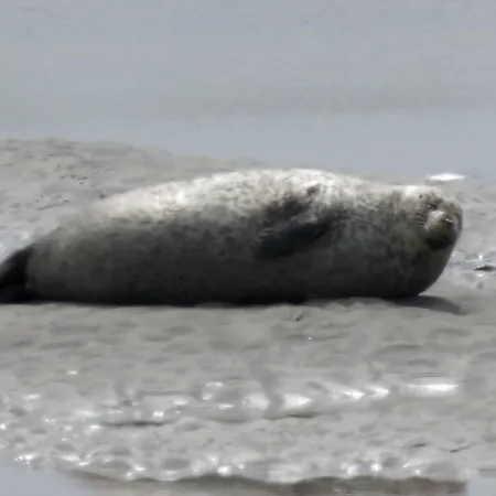 度假居 Maison Berck